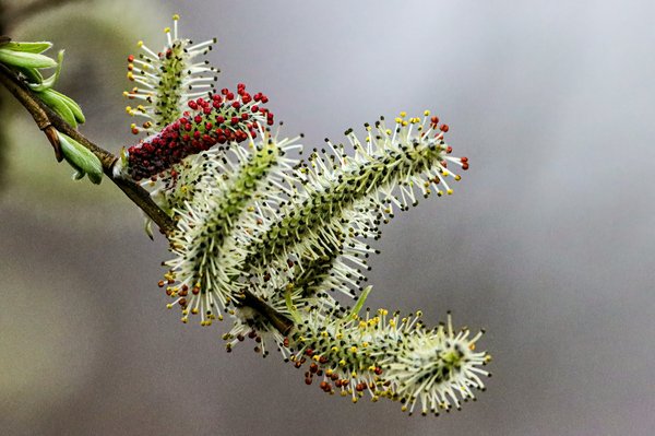 Comment intégrer des accessoires en osier dans une garde-robe estivale?